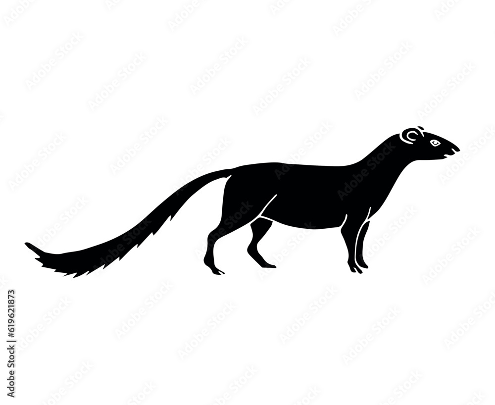Vector hand drawn doodle sketch black mongoose isolated on white background
