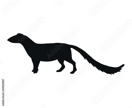 Vector hand drawn mongoose silhouette isolated on white background