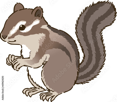 シマリス