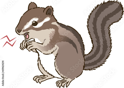 怒るシマリス