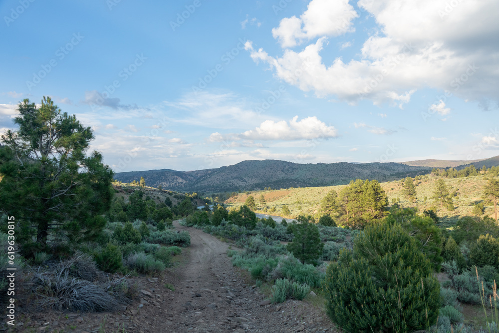 Obraz premium Pathway Along the East Fork of the Carson River in California
