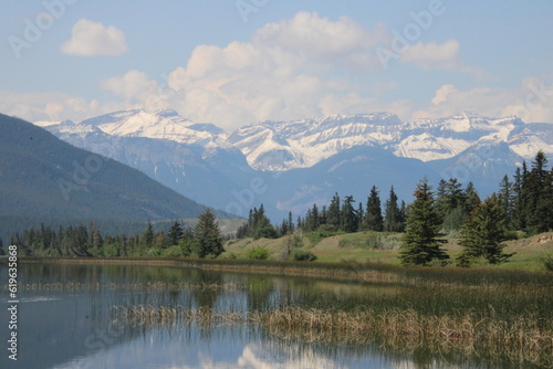 Fototapeta Naklejka Na Ścianę i Meble -  Trees Along The Lake, Jasper National Park, Alberta