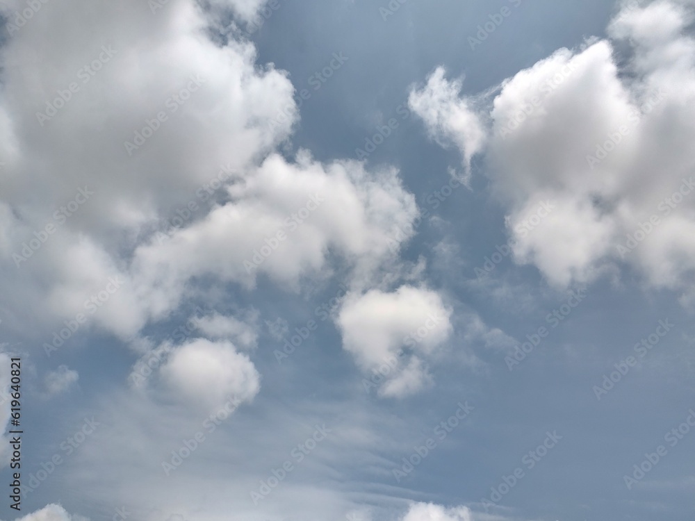 Obraz premium 東京のそら(23.7.4)