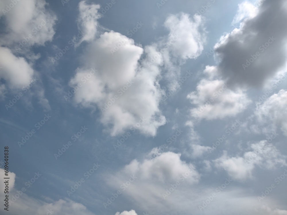 Fototapeta premium 東京のそら(23.7.4) 