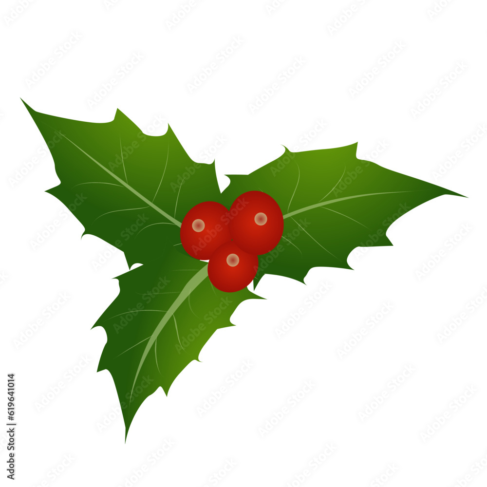 Holly berry leaves Christmas. Vector illustration Holly berry leaves Christmas. Vector illustration