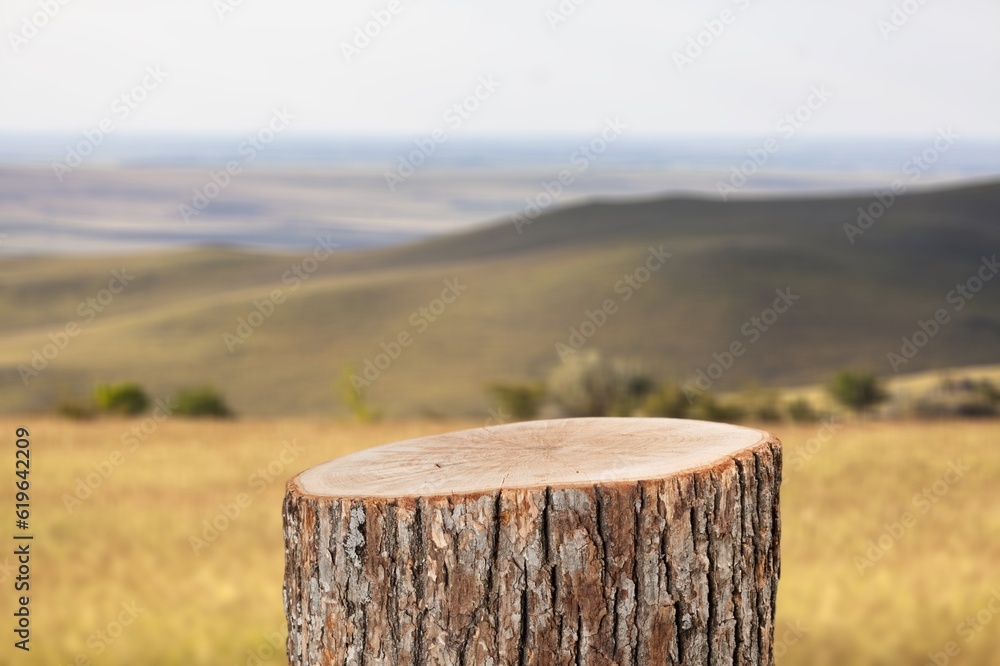 Tree trunk Podium on nature background,