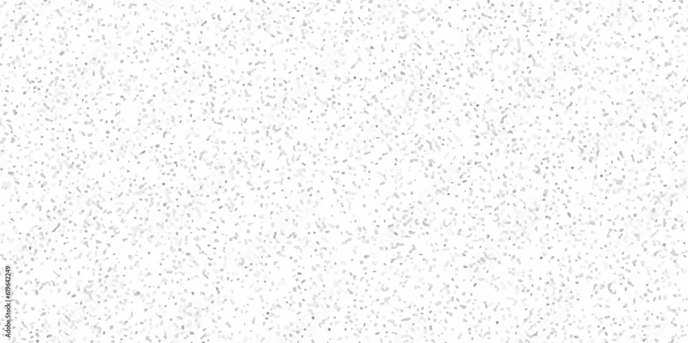White paper texture background and terrazzo flooring texture polished stone pattern old surface marble background. Monochrome abstract dusty worn scuffed background. Spotted noisy backdrop bakground. White paper texture background and terrazzo flooring texture polished stone pattern old surface marble background. Monochrome abstract dusty worn scuffed background. Spotted noisy backdrop bakground.