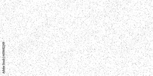 White paper texture background and terrazzo flooring texture polished stone pattern old surface marble background. Monochrome abstract dusty worn scuffed background. Spotted noisy backdrop bakground.