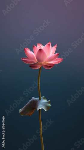 lotus Nelumbo nucifera flower blurred background. AI Generated photo
