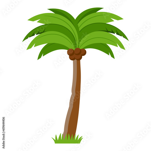 Palm Tree Illustration