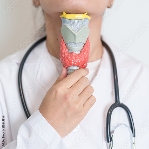Doctor with human Thyroid anatomy model. Hyperthyroidism, Hypothyroidism, Hashimoto Thyroiditis, Thyroid Tumor and Cancer, Postpartum, Papillary Carcinoma and Health concept photo