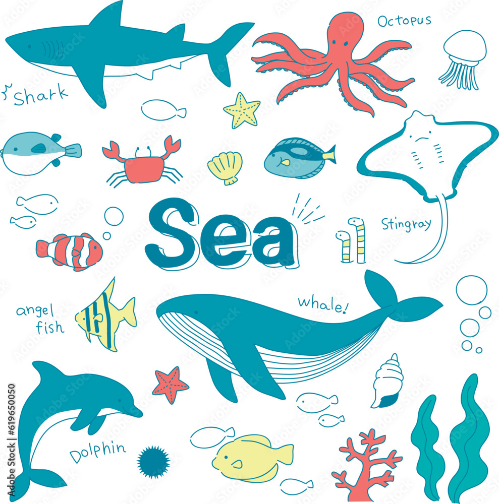 Obraz premium 海の生き物セット