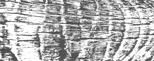 Grunge coconut palm bark texture background. Adged tree stem log. Vector