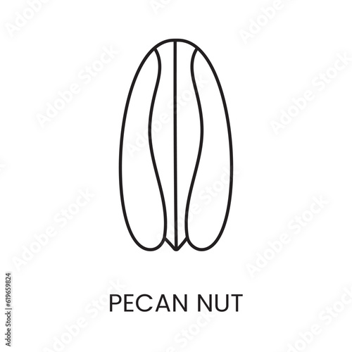 Pecan Icon in Vector Format allows you to experience the richness and versatility of pecan with its elegant line representation