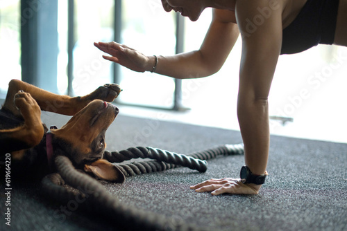Woman exercising while her dog lies nearby, woman doing plank teasing and playing with pet at fitness gym © chomplearn_2001