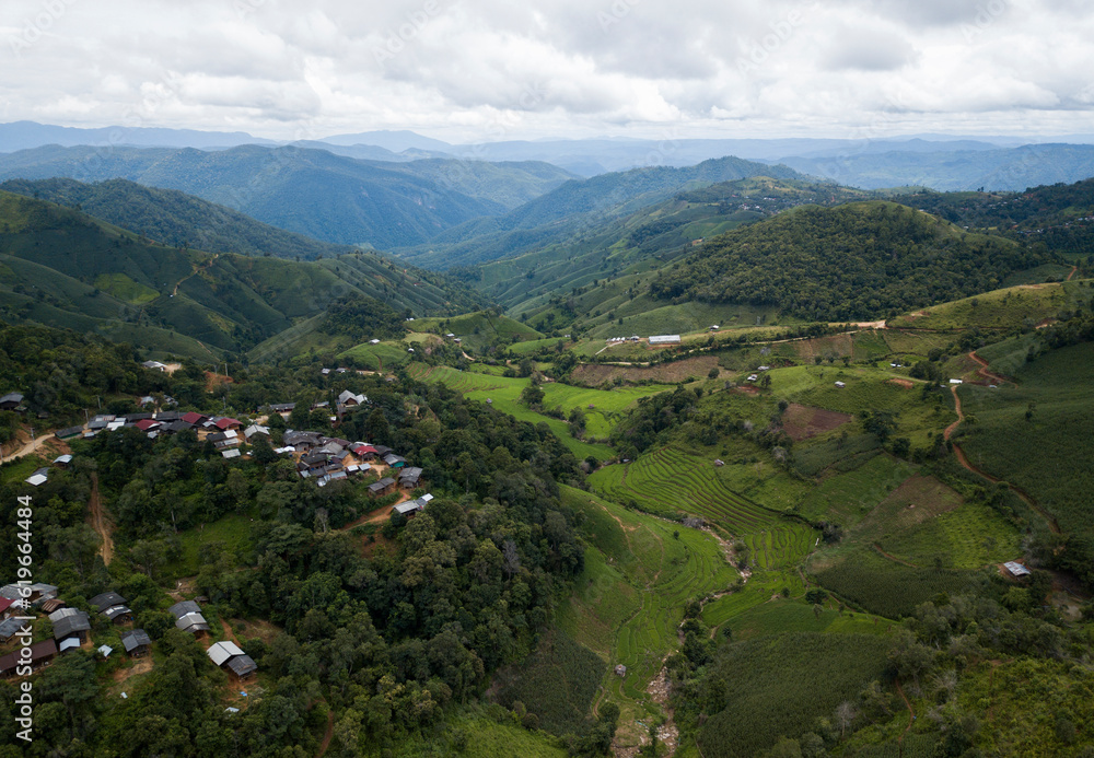 Green Rice Field with Mountains Background