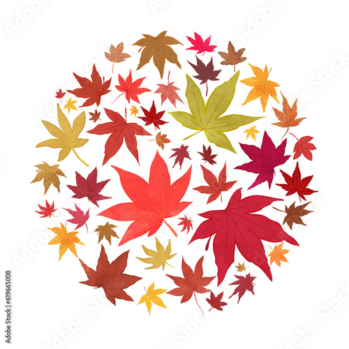 Illustration design of maple leaves