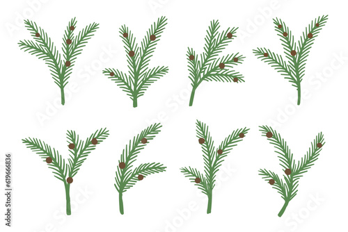 Set of Christmas tree, pine spruce or fir green branches with cones for holiday decoration