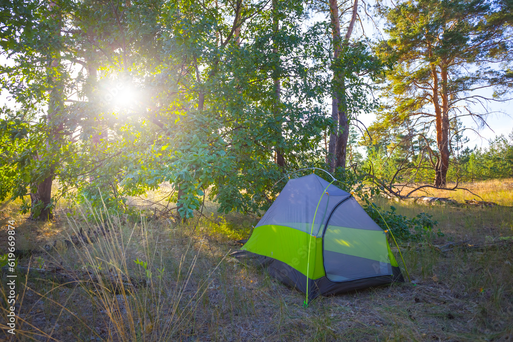 small touristic tent stay on forest glade at the sunny day, summer natural travel scene
