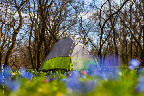 small touristic tent stay on forest glade  summer natural travel scene