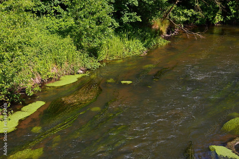 Landscape in Spring at the River Boehme, Uetzingen, Lower Saxony Landscape in Spring at the River Boehme, Uetzingen, Lower Saxony