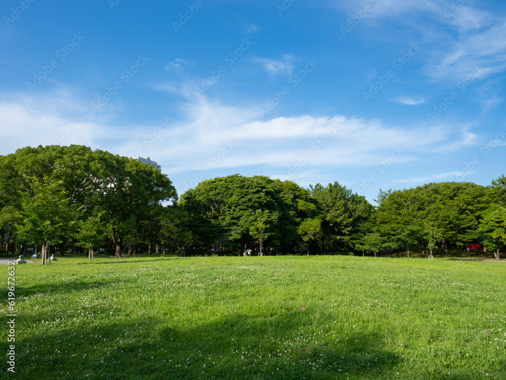 緑あふれる辰巳の森緑道公園 清々しい!