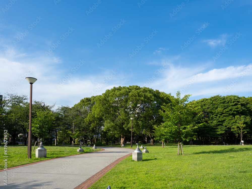 緑あふれる辰巳の森緑道公園 清々しい!