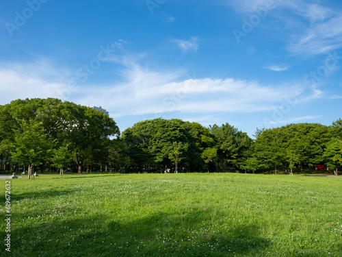 Obraz na płótnie 緑あふれる辰巳の森緑道公園 清々しい! w salonie