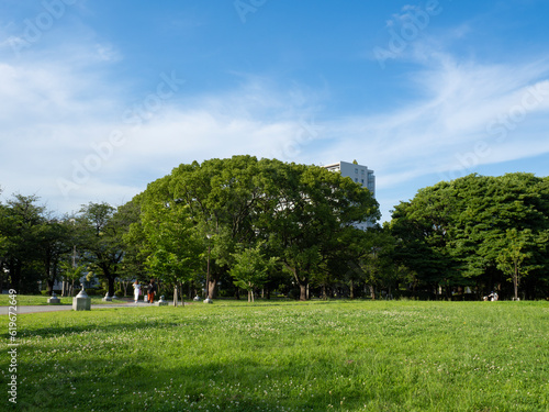 Obraz na płótnie 緑あふれる辰巳の森緑道公園 清々しい! w salonie