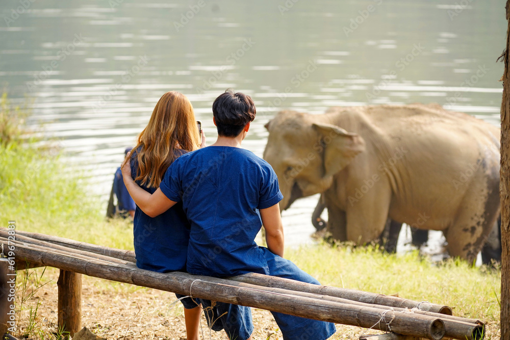 Back view of young couple looking at herd of Asian elephants bathing in the national park's river.