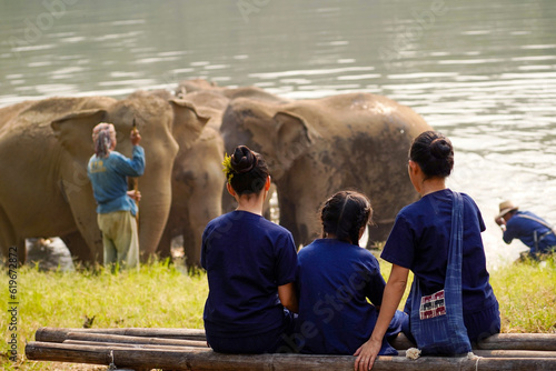 Closeup and back view of traveler's family looking at herd of Asian elephants bathing in the national park's river.