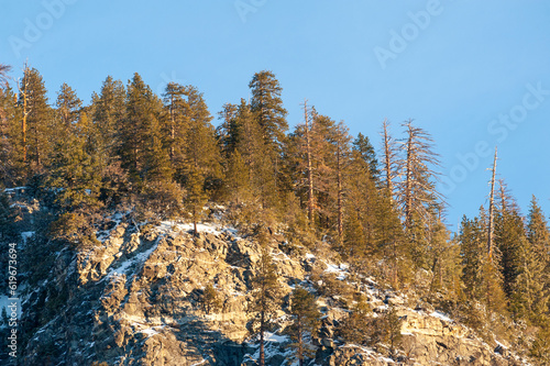 Telephoto shot of a group of trees catching the first sunlight of the new year in Yosemite national park, on an early morning winter afternoon.