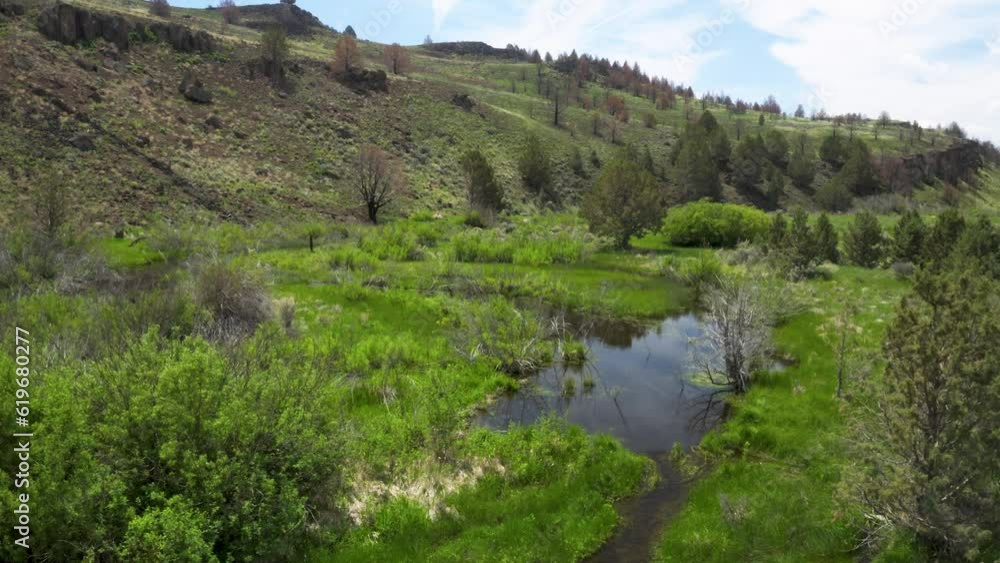Willow Creek With Greenery And Mountain Landscape In Oregon, USA. wide Willow Creek With Greenery And Mountain Landscape In Oregon, USA. wide