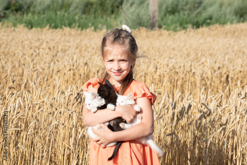 Portrait of smiling and pretty kid girl holding three kittens and stands in wheat field, summer photo