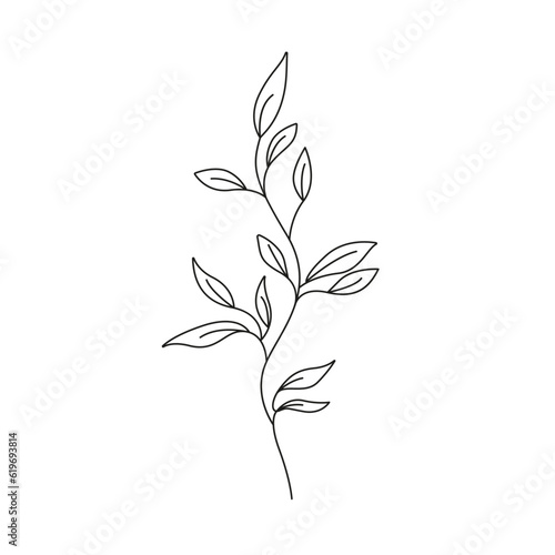 Leaves Branch Hand Draw Linear Drawing Black Sketch Isolated on White Background. Flower with Leaves Abstract One Line Minimalist Drawing. Vector EPS 10. © Наталья Дьячкова