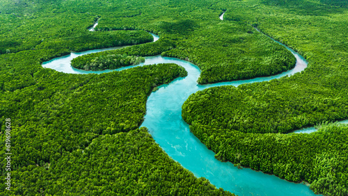 Aerial view of mangrove forest ecosystem at Phang Nga, Thailand
