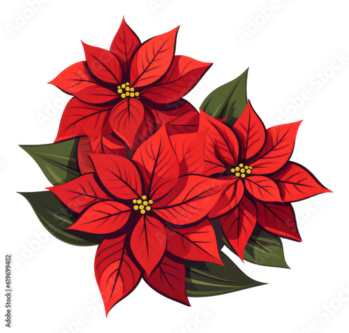 Poinsettia flowers isolated for Christmas or New Year greeting card design. illustration