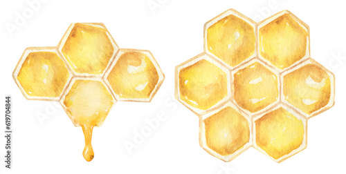 Set of watercolor honey combs clipart, honey drops and honeycomb illustration Fototapet