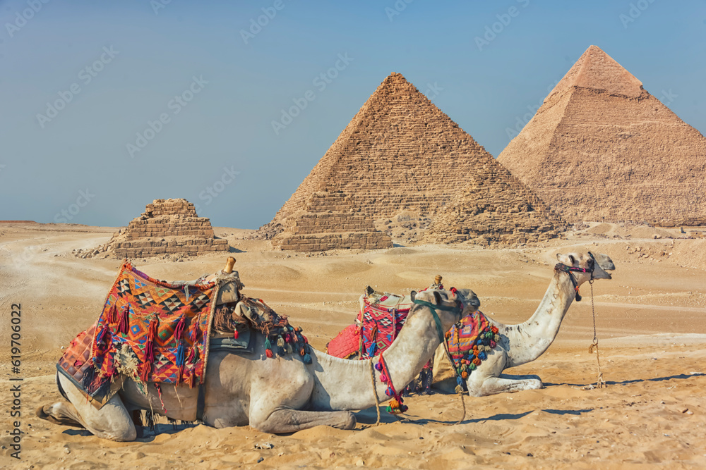 Fototapeta premium The Pyramids of Giza in Egypt