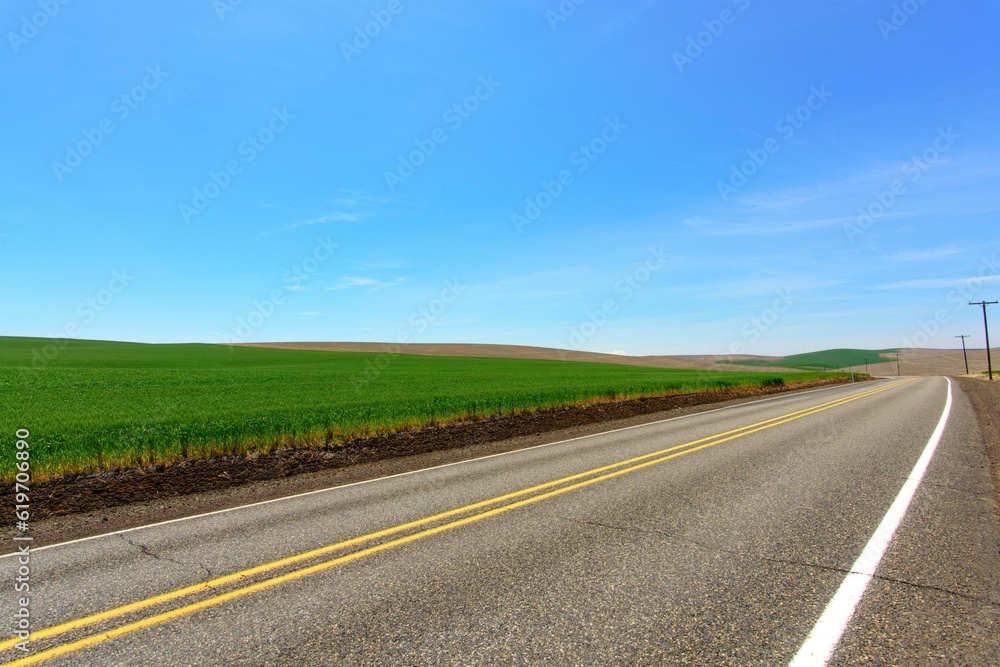 Idyllic Spring Serenity: Panoramic View of Road Winding Through Lush Green Wheat Field, Unveiled in Stunning 4K Resolution