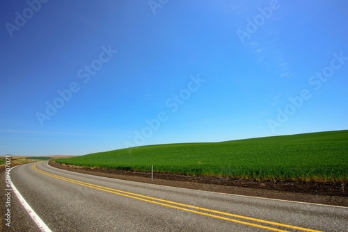 Idyllic Spring Serenity: Panoramic View of Road Winding Through Lush Green Wheat Field, Unveiled in Stunning 4K Resolution