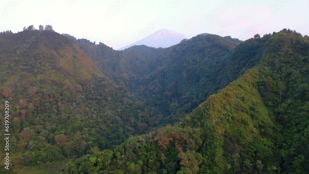 Aerial view of endless forests that grow on hills and valleys in early morning. Flying over mountain with green trees forest . Misty Morning. High quality shot, 4K Aerial view of endless forests that grow on hills and valleys in early morning. Flying over mountain with green trees forest . Misty Morning. High quality shot, 4K