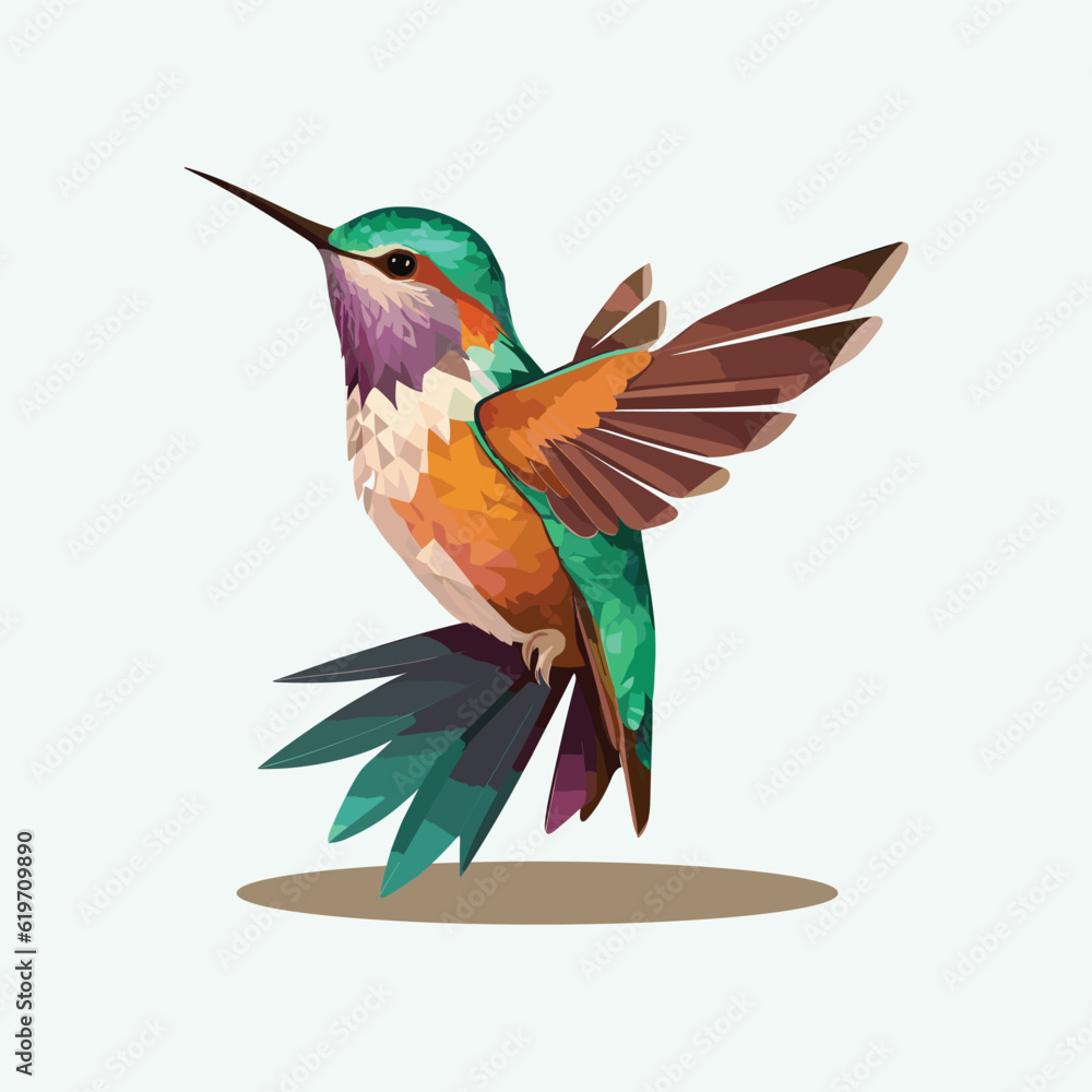 vector cute hummingbird cartoon style