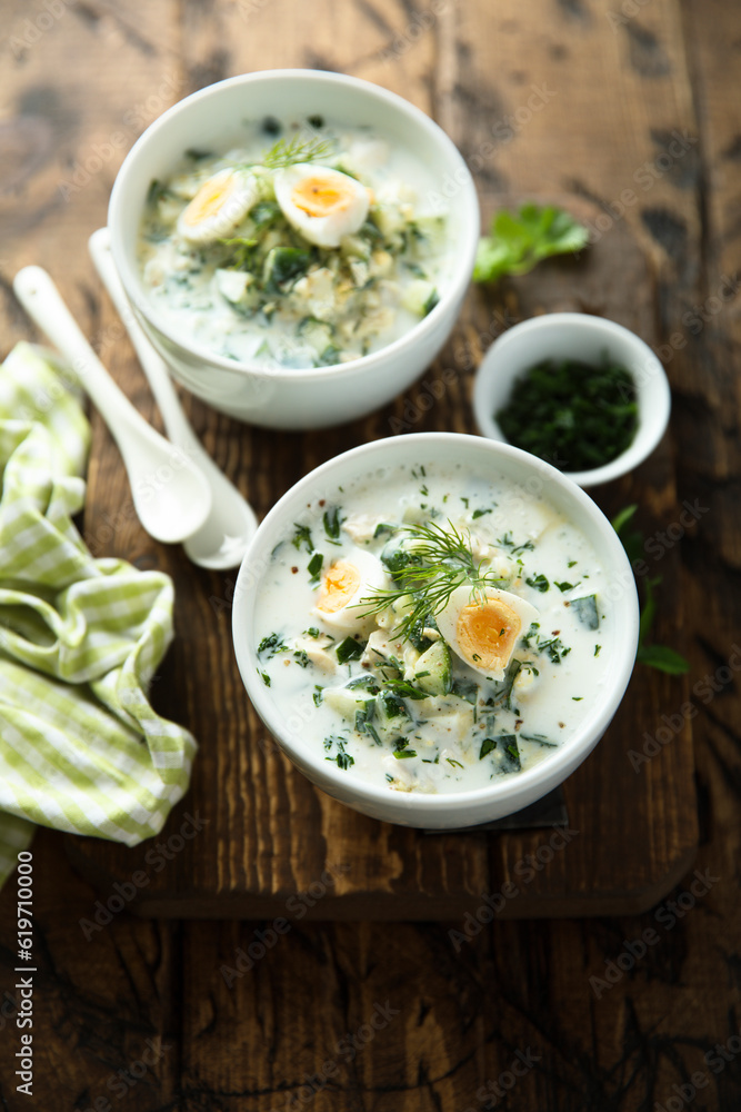 Traditional homemade cold soup with yogurt and herbs