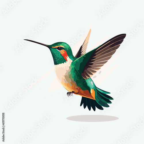 vector cute hummingbird cartoon style