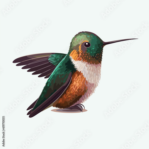 vector cute hummingbird cartoon style