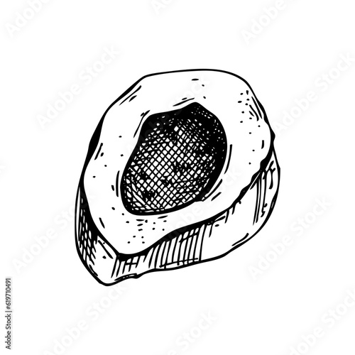 Slice of big marrowbone with meat sketch. Cooked bone isolated on white background. Hand drawn healthy food illustration for butchery, recipes, menu in vintage style.