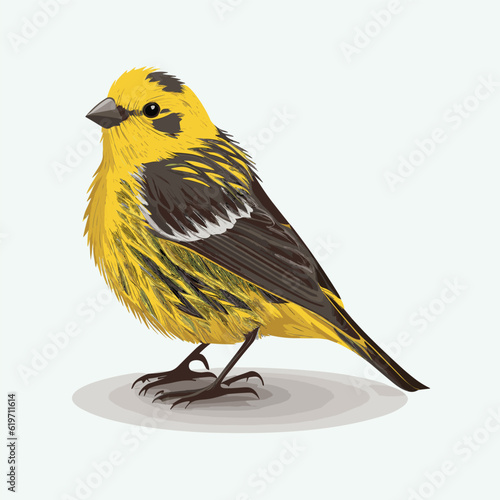vector cute canary cartoon style