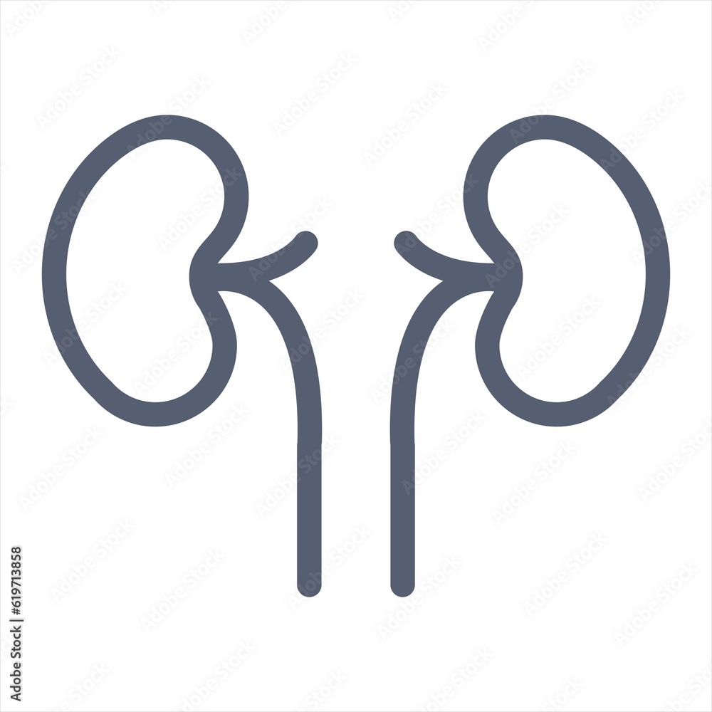 Kidney logo design vector template, Organs logo design concept, Icon symbol.Kidney outline icon medicine organ Kidney logo design vector template, Organs logo design concept, Icon symbol.Kidney outline icon medicine organ