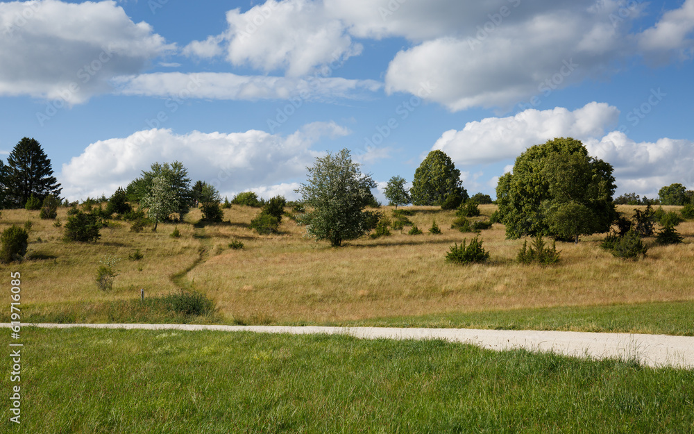 Fototapeta premium Wacholderheide (Stählernes Männle) bei Albstadt-Ebingen auf der Schwäbischen Alb